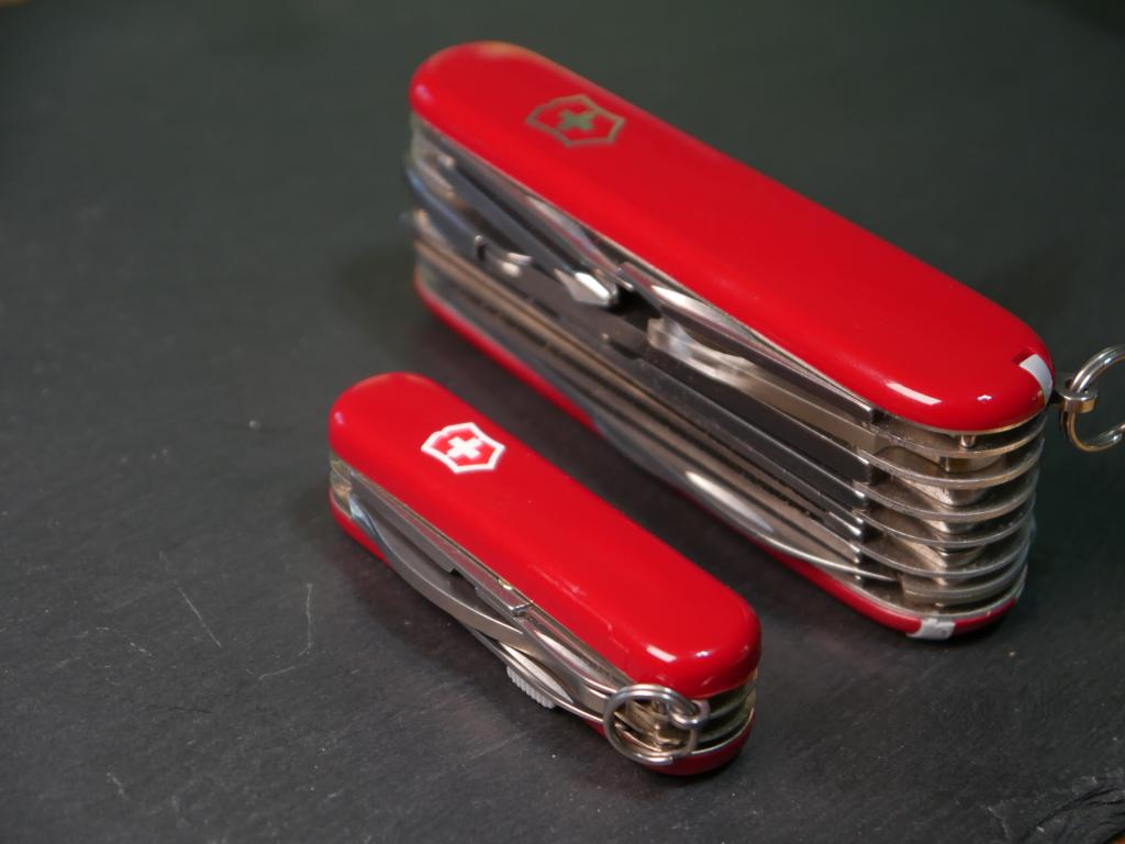 Minichamp Swisschamp